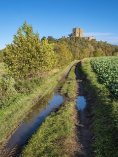 Landscape with field path in autumn, behind the ruins of Arnstein Castle, Sylda-Harkerode,