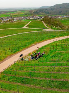 People walking on a path that winds through a vineyard, Jesus Grace Chruch, Weitblickweg, Easter
