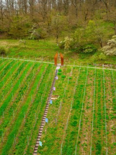 People admire a work of art in the middle of a green vineyard, Jesus Grace Chruch, Weitblickweg,