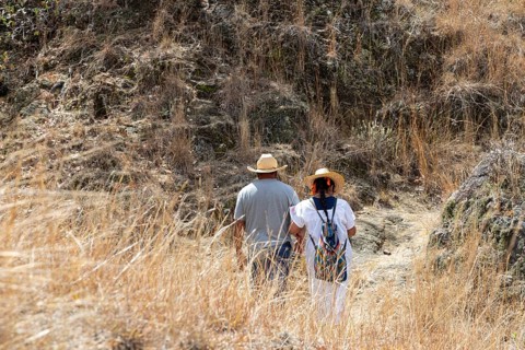 San Pablo Huitzo, Oaxaca, Mexico, Farmers are part of a cooperative that uses agroecological
