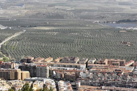 View from Castillo de Santa Catalina, modern new buildings, partial view of Jaen, Andalusia,