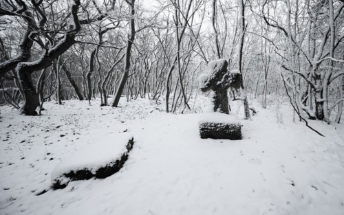 Medieval stone cross in a snow-covered forest in winter, murder cross, atonement cross, Freyburg