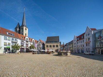 The Holzmarkt with St Martin's Church, town hall and Holzmarkt fountain, Halberstadt,