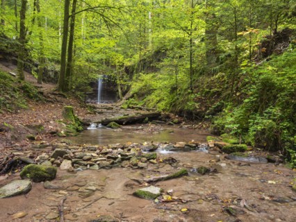 Small waterfall at Hoerschbach, Hoerschbach Valley, Swabian-Franconian Forest nature park Park,