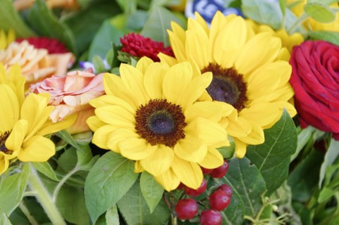 Marseille, Colourful bouquet with bright sunflowers and roses, Marseille, Departement