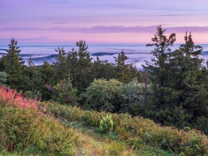 Morning atmosphere with dawn red and morning fog on the Schneekopf in the Thuringian Forest, view