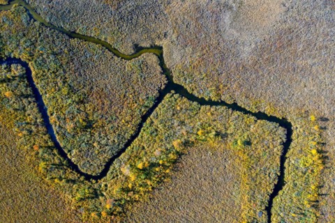 Aerial view over moorland in autumn, fall at Hedmark, Innlandet, Eastern Norway