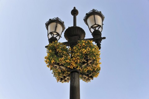 Granada, lamppost decorated with a wreath of yellow flowers against a blue sky, Granada, Andalusia,