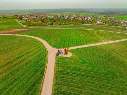 People standing at a fork in a vineyard with a village in the distance, Jesus Grace Chruch,