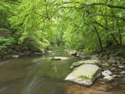 The River Bode with rapids and boulders in the Bode Valley between Thale and Treseburg, Harz