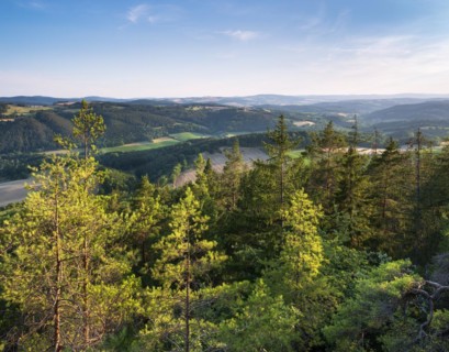 View from the shell limestone slopes near Bad Blankenburg of typical hilly landscape with forests