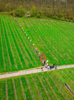 A slight bend in a country road leads through a large green agricultural field, Jesus Grace Chruch,