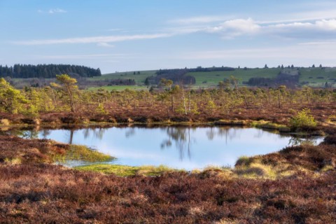 Black bog, bog eye, Rhoen Biosphere Reserve, Bischofsheim in der Rhoen, Lower Franconia, Rhoen,