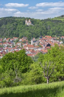 View of the town of Treffurt in the Werra Valley and Normannstein Castle, Treffurt, Thuringia,