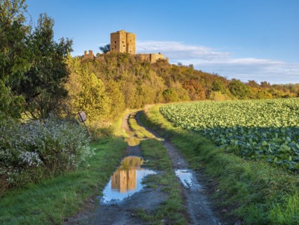 Landscape with field path in autumn, behind the ruins of Arnstein Castle, Sylda-Harkerode,