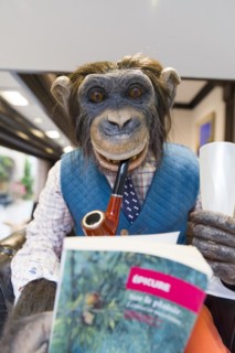 Chimpanzee puppet with pipe and champagne glass