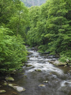 The River Bode with rapids and boulders in the Bode Valley between Thale and Treseburg, Harz
