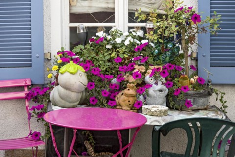 Decoration in front of a window, magenta petunias (petunia hybrids), pink garden table, ceramic