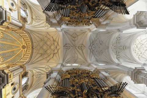 Organ, Cathedral of Santa Maria de la Encarnacion, Cathedral of Granada, Magnificent vaulted church