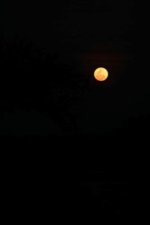 Blood moon, South Africa, Africa