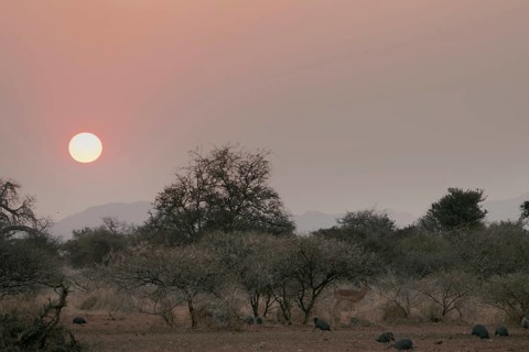 Sunrise, Limpopo, South Africa, Africa