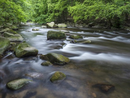 The River Bode with rapids and boulders in the Bode Valley between Thale and Treseburg, Harz