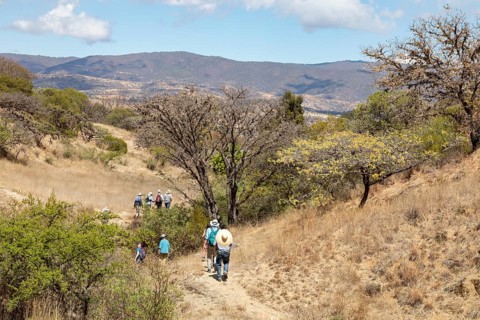 San Pablo Huitzo, Oaxaca, Mexico, Farmers are part of a cooperative that uses agroecological