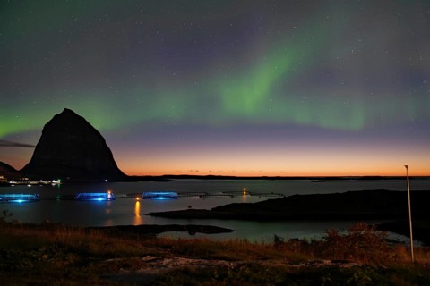 Northern lights (aurora borealis) mingle with sunset, sea, striking mountains and fish farm,