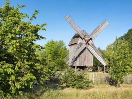 Mill, windmill, trestle windmill, Bad Dueben, Saxony, Germany, Europe