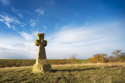 Medieval stone cross, murder cross, atonement cross, Freyburg (Unstrut), Saxony-Anhalt, Germany,