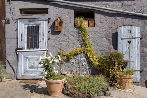 Old farmhouse, facade, decorated, flower pots, dipladenia (Mandevilla boliviensis), knotweed