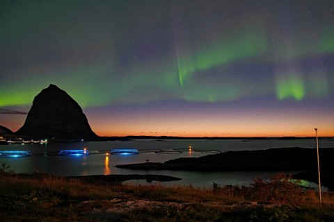 Northern lights (aurora borealis) mingle with sunset, sea, striking mountains and fish farm,