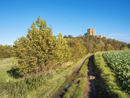 Landscape with field path in autumn, behind the ruins of Arnstein Castle, Sylda-Harkerode,