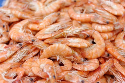 Fish sale at the harbour, A pile of orange shrimps at a seafood market, Marseille, Departement