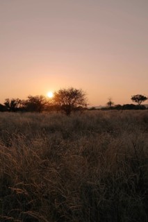Landscape, Limpopo, South Africa, Africa