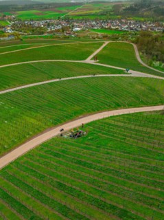 Green vineyard landscape with paths and a village in the background on a cloudy day, Jesus Grace