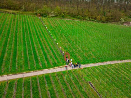 People walking through a vineyard, embedded in a rural landscape, Jesus Grace Chruch, Weitblickweg,