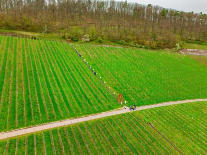 A group of people stand by an art installation in a vineyard, Jesus Grace Chruch, Weitblickweg,