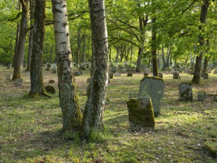 Old Jewish cemetery on the Judenhuegel near Kleinbardorf, municipality of Sulzfeld, Hassberge,