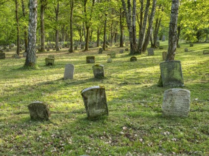 Old Jewish cemetery on the Judenhuegel near Kleinbardorf, municipality of Sulzfeld, Hassberge,