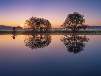 Morning atmosphere in the Saale valley near Naumburg, trees are reflected in the river Saale at