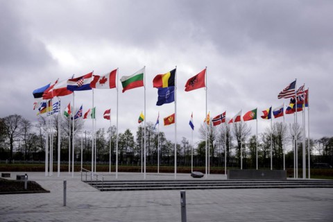 Symbolic image at the meeting of NATO foreign ministers. Brussels, 03.04.2024. Photographed on