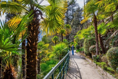 Subtropical plants on the Gilf promenade in spring, Merano, Val Passiria, Val d'Adige,
