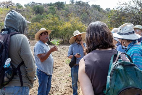 San Pablo Huitzo, Oaxaca, Mexico, Farmers are part of a cooperative that uses agroecological
