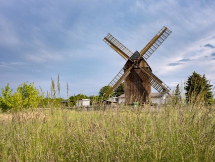 Zwochau mill, trestle windmill, Zwochau, Saxony, Germany, Europe
