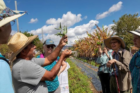 San Pablo Huitzo, Oaxaca, Mexico, Farmers are part of a cooperative that uses agroecological