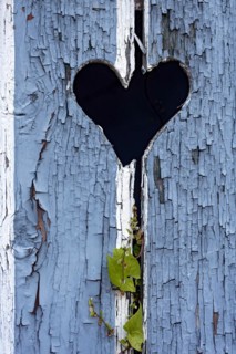 Wooden door with heart, stable door, light-coloured varnish, weathered, leaves of knotweed