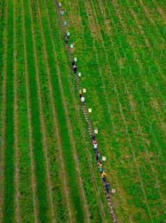 People walking on a narrow path next to railway tracks through green fields, Jesus Grace Chruch,