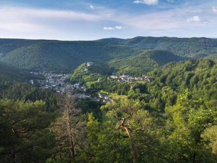 View of the Schwarzatal valley with Schwarzburg village and castle surrounded by forests,
