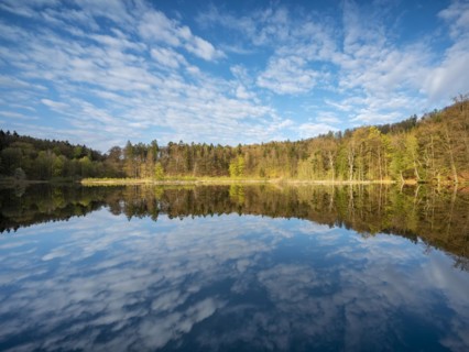 Lake Albertsee in the morning light, swampy sinkhole lake in Frauenseer Forst, Marksuhl, Thuringia,